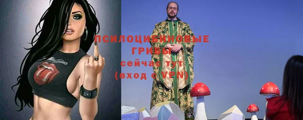 таблы Алексеевка