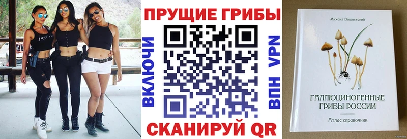 купить наркотики цена  Новокубанск  Галлюциногенные грибы Magic Shrooms 