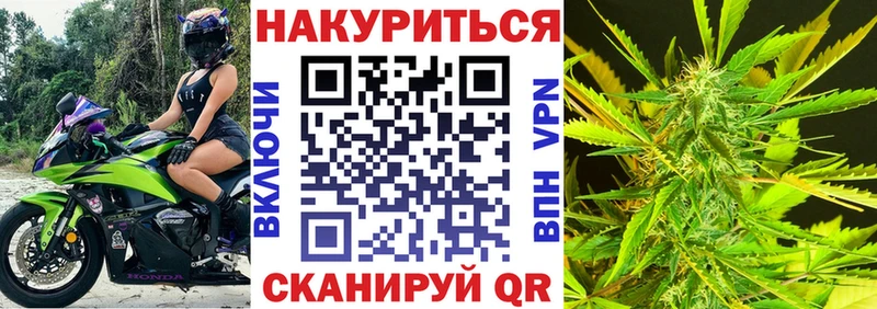 Бошки марихуана Bruce Banner  где можно купить   Новокубанск 